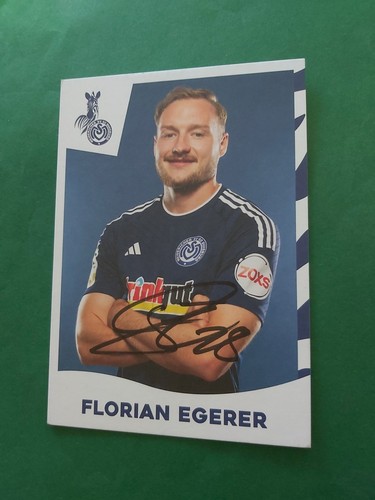 Msv duisburg egerer - msv,