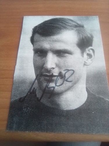Dfb msv duisburg manfred - dfb/msv,
