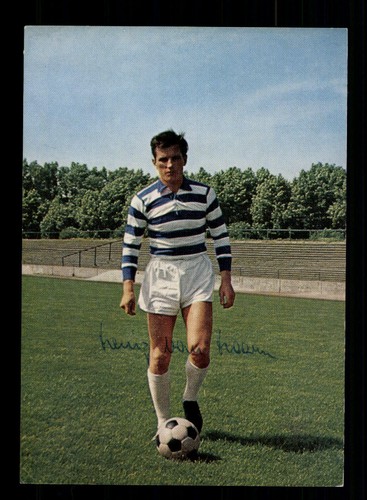 Heinz van haaren - heinz,