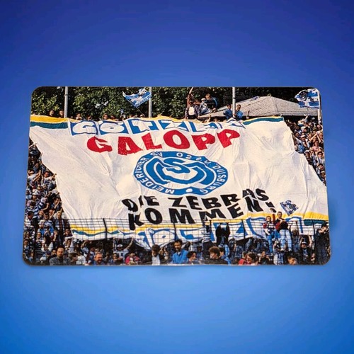 Msv duisburg volle - msv,