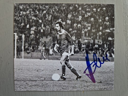 Huhse schalke fußball foto - huhse,