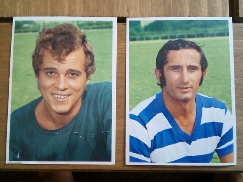 Msv duisburg fussball - msv,